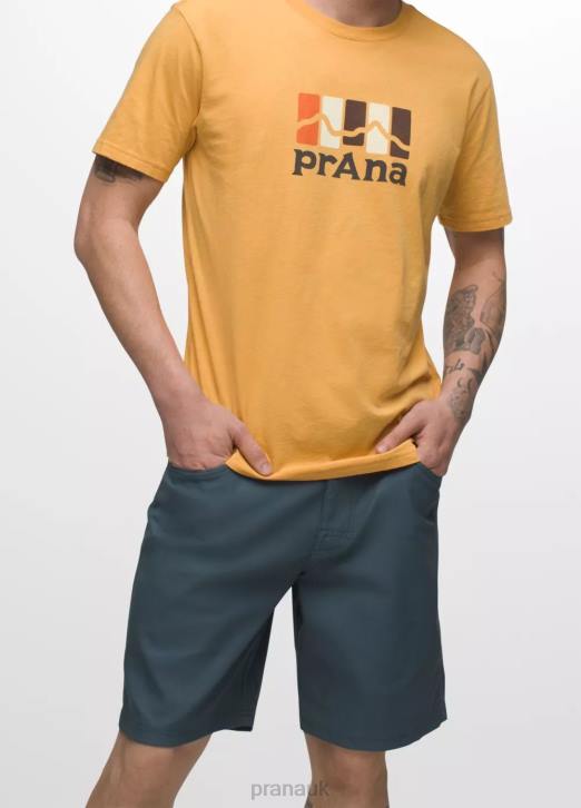 prAna Men Brion Short II 604H898 Bottoms Grey Blue