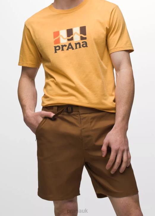 prAna Men Stretch Zion Hybrid Short II 604H895 Bottoms Sepia
