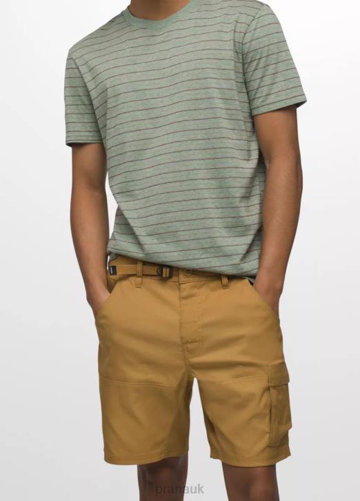 prAna Men Stretch Zion Short II 604H937 Bottoms Embark Brown