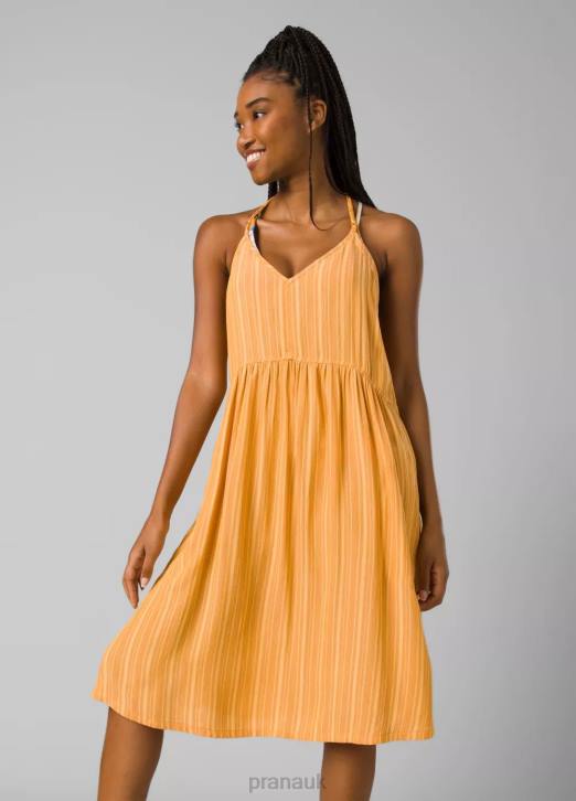 Deep Solstice Stripe